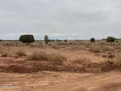 5103 Windmill Ln, Snowflake, AZ 85937