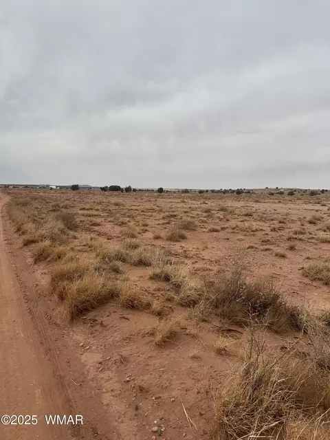 5103 Windmill Ln, Snowflake, AZ 85937 photo 7