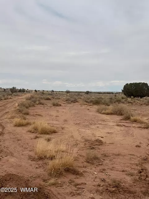 5103 Windmill Ln, Snowflake, AZ 85937 photo 4
