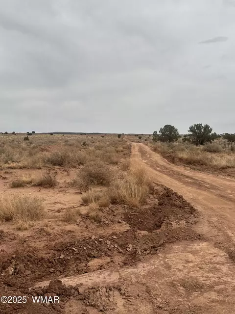 5103 Windmill Ln, Snowflake, AZ 85937 photo 3