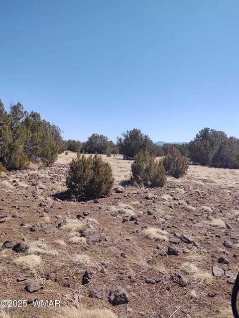 182 Show Low Pnes #5, Concho, AZ 85924