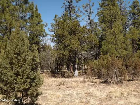 0004 Parcel 1 Section 31 # Y, Overgaard, AZ 85933