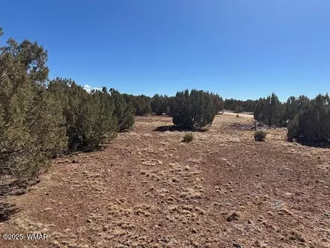 30 Cr 8051 Rd, Concho, AZ 85924