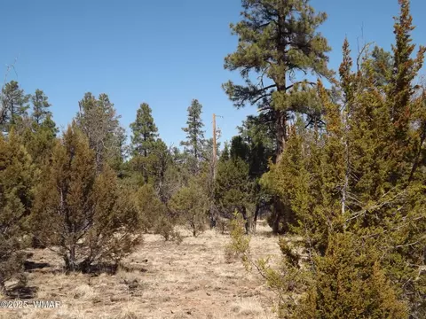 0004 Parcel 2 Section 31 # X, Overgaard, AZ 85933