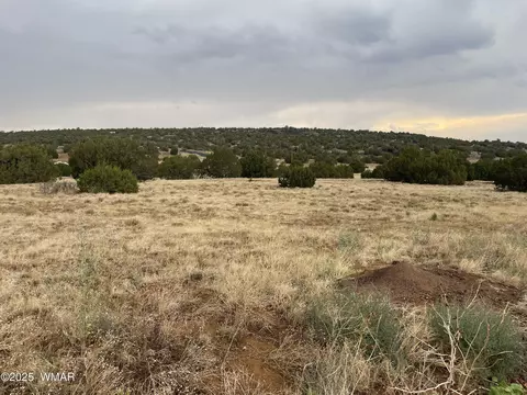 67 Hickory Ln, Concho, AZ 85924