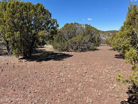 41 County Road 3199, Vernon, AZ 85940