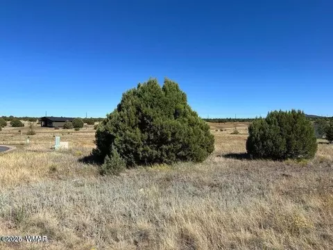 1961 E Rimstone Dr, Show Low, AZ 85901