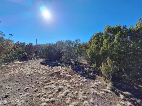 tbd N3119 St, Vernon, AZ 85940