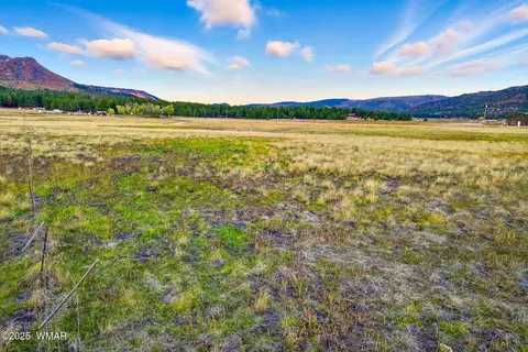 tbd Alpine Unsubdivide, Alpine, AZ 85920 photo 3