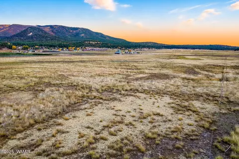 tbd Alpine Unsubdivide, Alpine, AZ 85920 photo 16