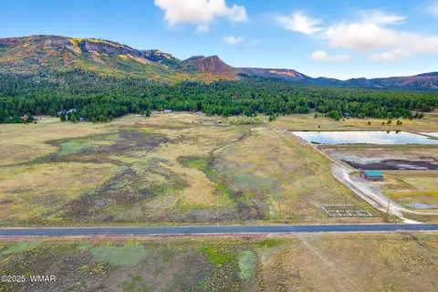 tbd Alpine Unsubdivide, Alpine, AZ 85920 photo 6