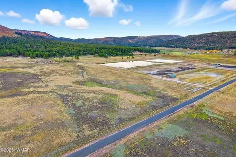 tbd Alpine Unsubdivide, Alpine, AZ 85920 photo 5