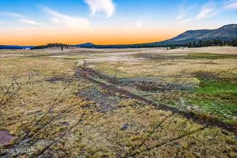 tbd Alpine Unsubdivide, Alpine, AZ 85920 photo 15