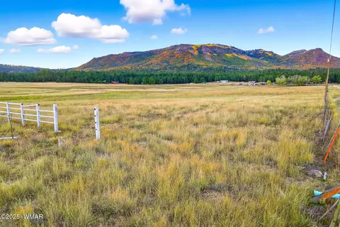 tbd Alpine Unsubdivide, Alpine, AZ 85920 photo 2