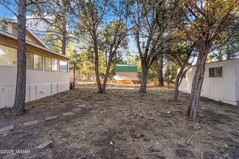 2068 Pinehaven Ln, Overgaard, AZ 85933 photo 6