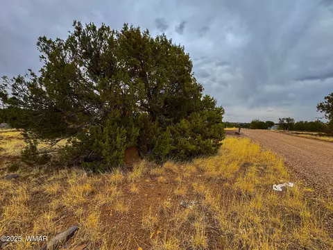 8512 Canyon Dr, Show Low, AZ 85901