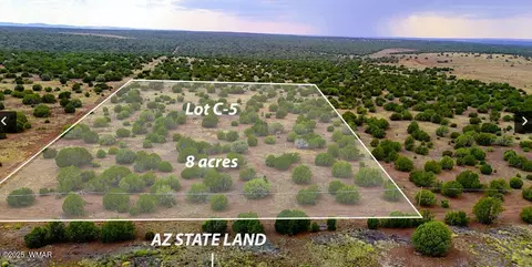 tbd Silver Lake Blvd Lot 5 816 Ac, Show Low, AZ 85901
