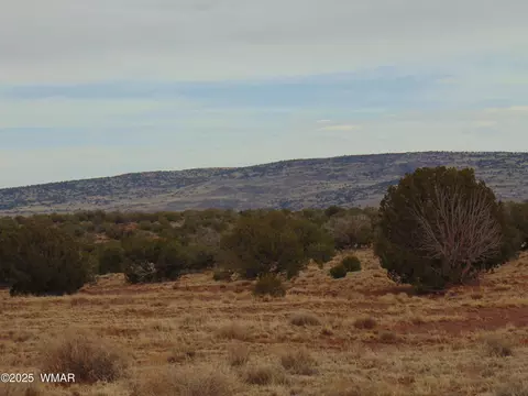 42 N 5576, Concho, AZ 85924