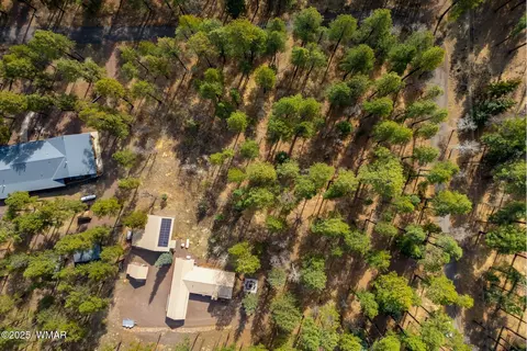 View/Area - 15 Co Rd 2050, Alpine, AZ 85920 photo 5 of 5