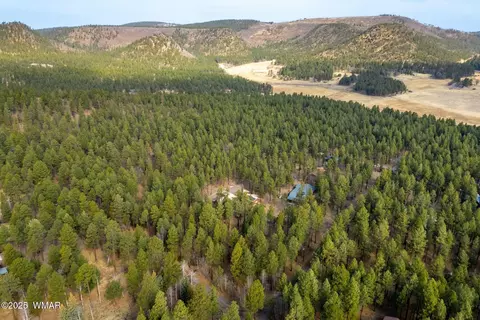 View/Area - 15 Co Rd 2050, Alpine, AZ 85920 photo 2 of 5