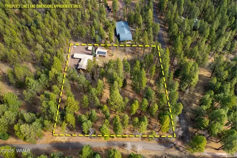 View/Area - 15 Co Rd 2050, Alpine, AZ 85920 photo 1 of 5