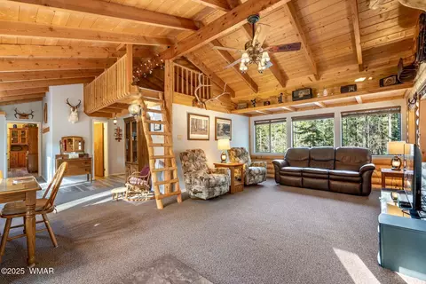 Other - 15 Co Rd 2050, Alpine, AZ 85920 photo 1 of 12