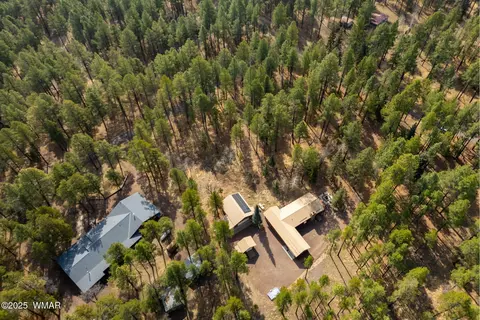 View/Area - 15 Co Rd 2050, Alpine, AZ 85920 photo 4 of 5