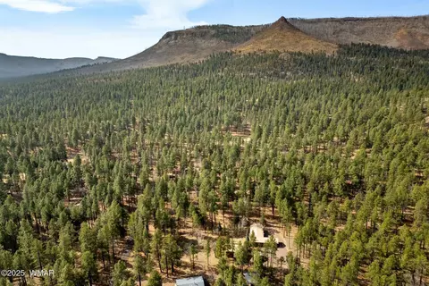 Other - 15 Co Rd 2050, Alpine, AZ 85920 photo 12 of 12