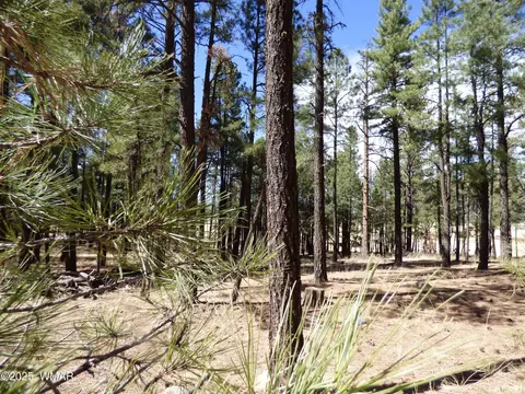 8 County Road 2267 Escudilla Rd # B, Alpine, AZ 85920