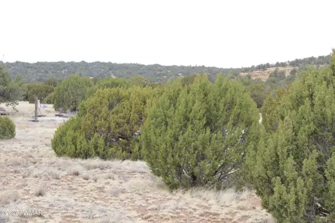 39 County Road 3034, Concho, AZ 85924