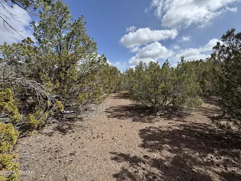 3187 Tbd, Vernon, AZ 85940