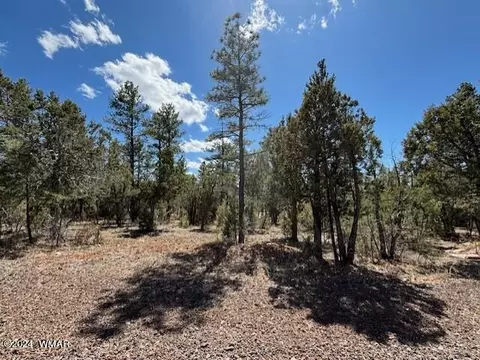 1581 S Braden Ct, Show Low, AZ 85901