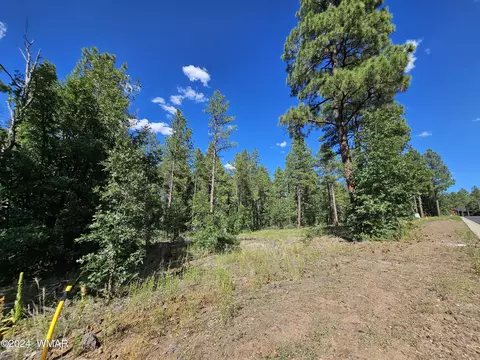 1390 Big Springs Trl, Lakeside, AZ 85929