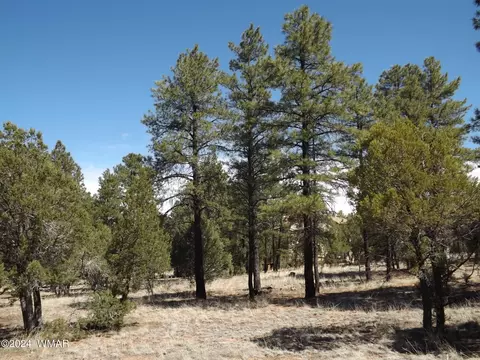2214 Forest Park Dr, Overgaard, AZ 85933