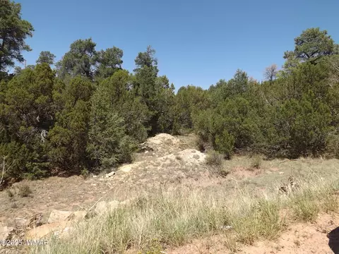 35003506 Evergreen Dr, Overgaard, AZ 85933