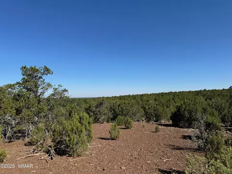 45 County Rd, Vernon, AZ 85940 photo 6