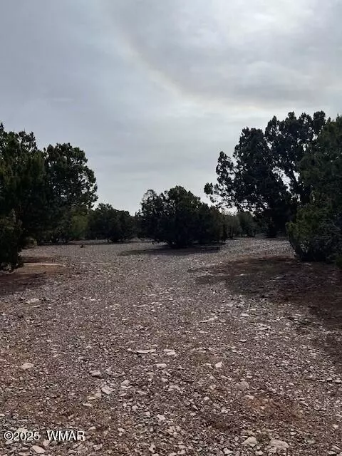 45 County Rd, Vernon, AZ 85940 photo 7