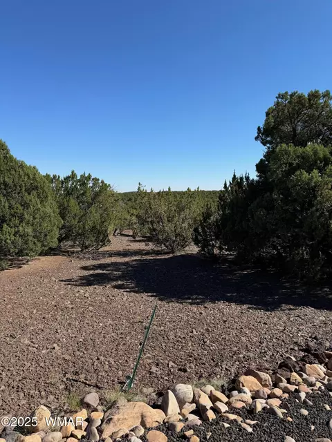 45 County Rd, Vernon, AZ 85940 photo 3