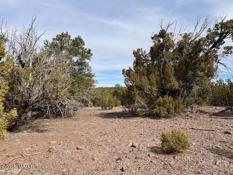 45 County Rd, Vernon, AZ 85940