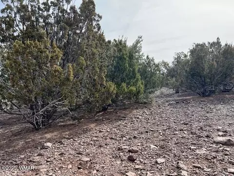 45 County Rd, Vernon, AZ 85940 photo 2