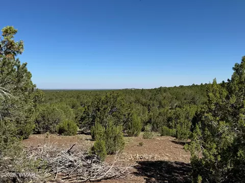 45 County Rd, Vernon, AZ 85940 photo 8