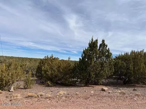 45 County Rd, Vernon, AZ 85940 photo 9