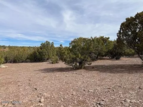 45 County Rd, Vernon, AZ 85940 photo 5
