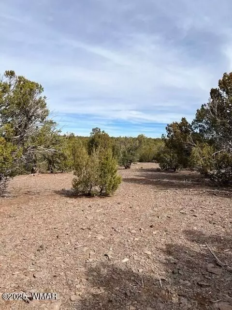 45 County Rd, Vernon, AZ 85940 photo 4