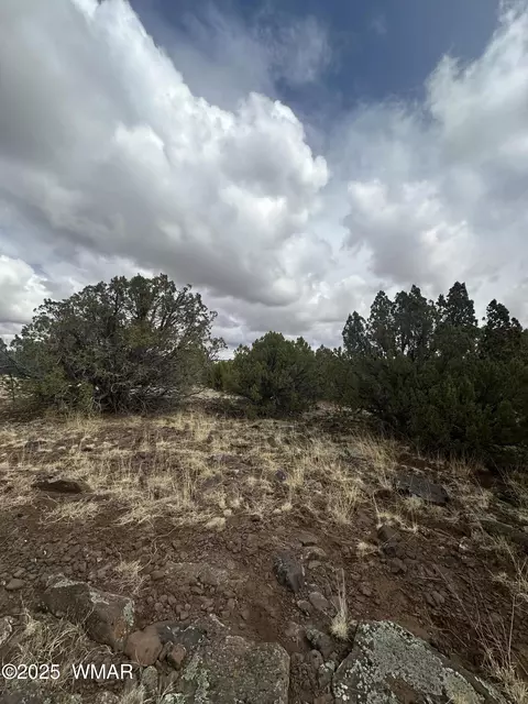 2093 Mcgihom Rd, Show Low, AZ 85901