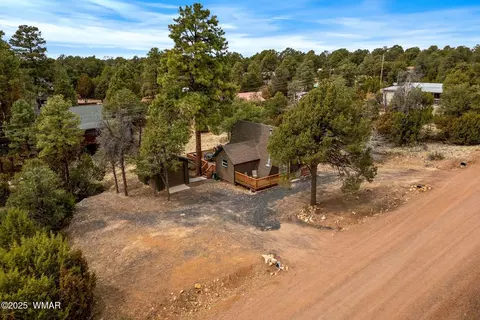 View/Area - 3518 Black Bear Run, Overgaard, AZ 85928 photo 1 of 6
