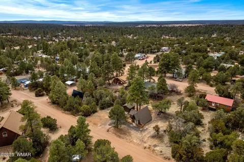 View/Area - 3518 Black Bear Run, Overgaard, AZ 85928 photo 3 of 6