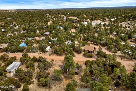 View/Area - 3518 Black Bear Run, Overgaard, AZ 85928 photo 5 of 6