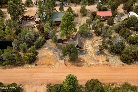 View/Area - 3518 Black Bear Run, Overgaard, AZ 85928 photo 2 of 6