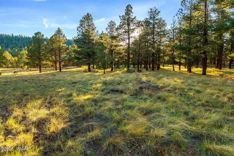 7 N County Road Apt 1332 St #46, Greer, AZ 85927